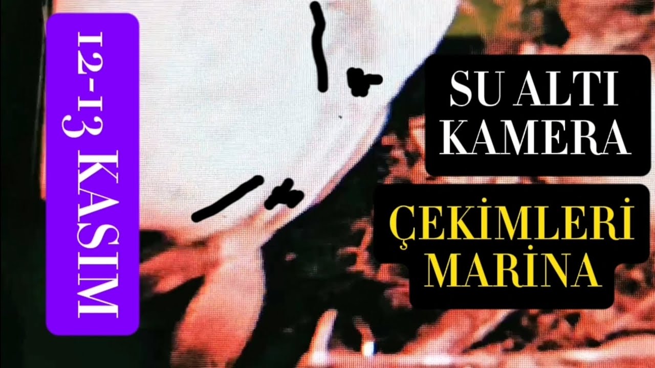 SU ALTI KAMERA KAYITLARI 12-13 Kasım MARİNA İZMİT #lrf #fishing #istavrit #gelincik #balikcilik