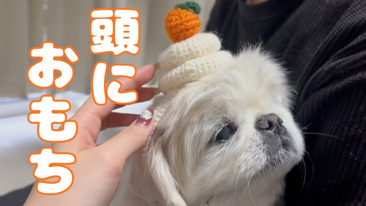 お餅をヘアバンドに改変⭐︎