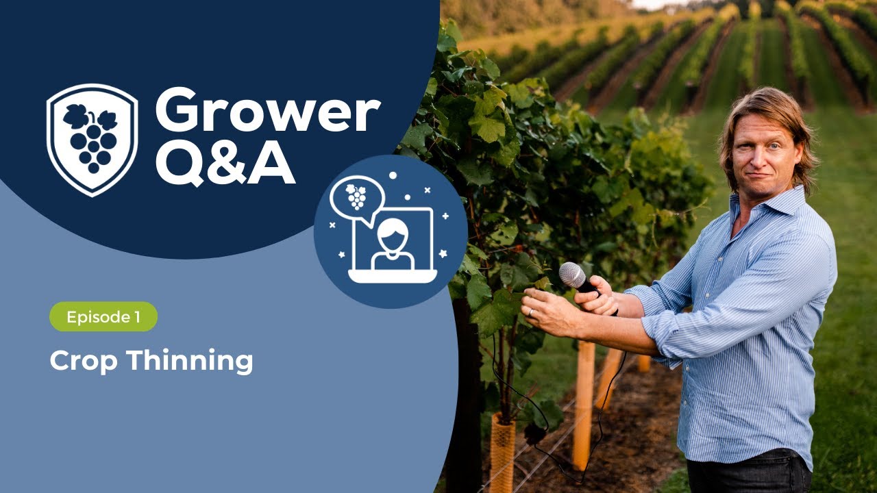 Grower Q&A Episode 1 - Crop Thinning for the Grape Grower