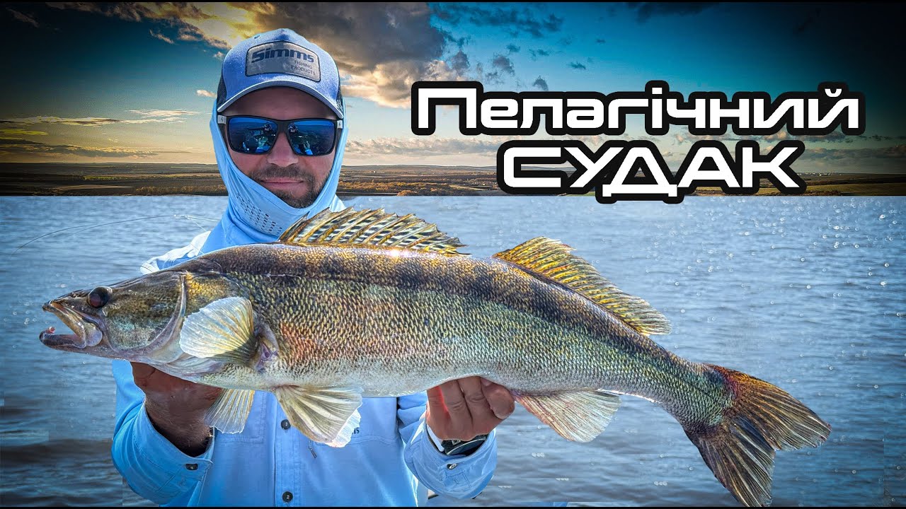 🎣  ОЦЕ РОЗДАЧА!  Джиг в минулому.  Пелагічний Судак в Active target 2