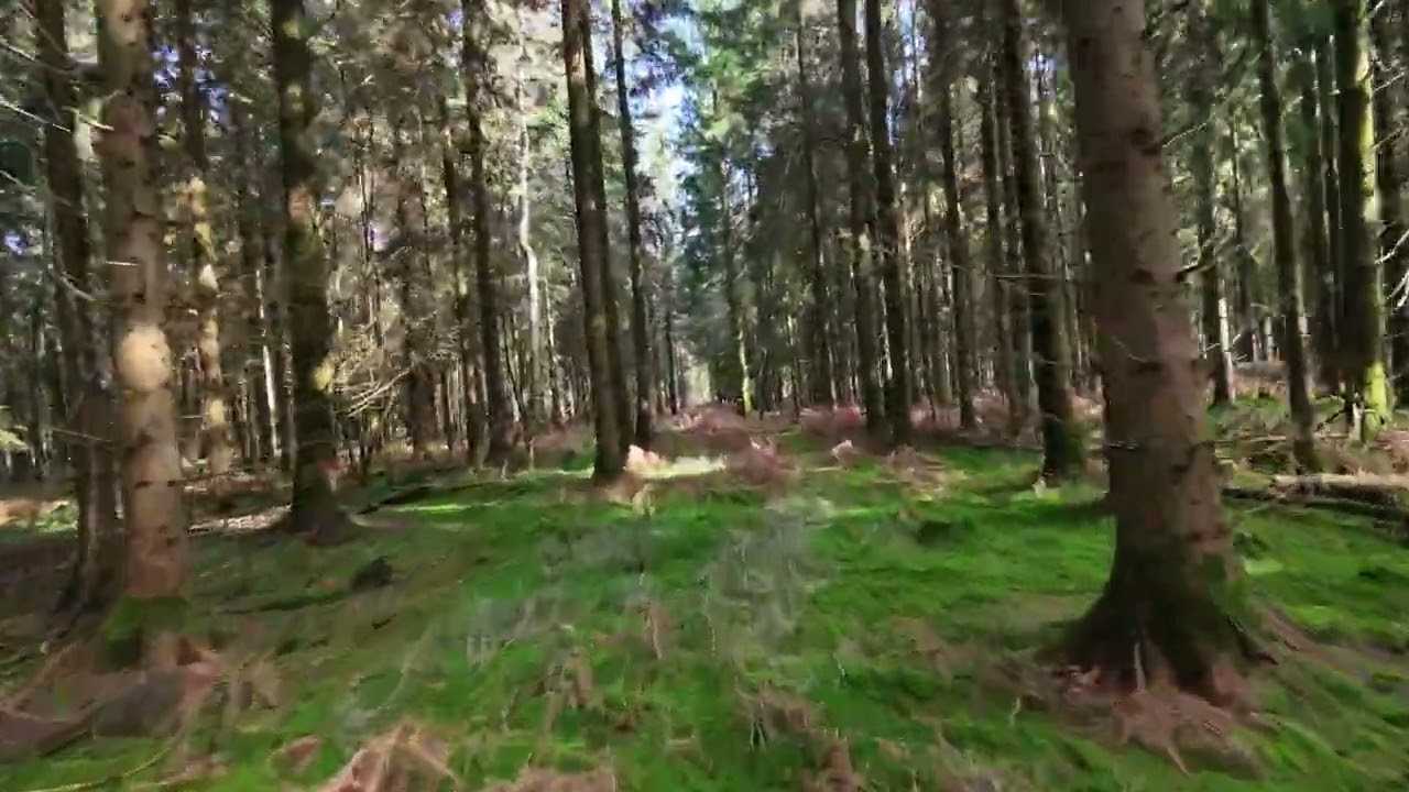 NEO 2 / RAW FOOTAGE / 3RD MARCH 2026