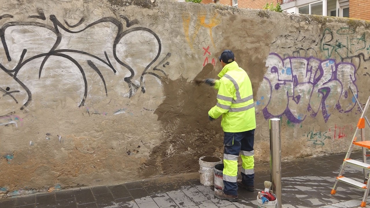 Adeu a les pintades