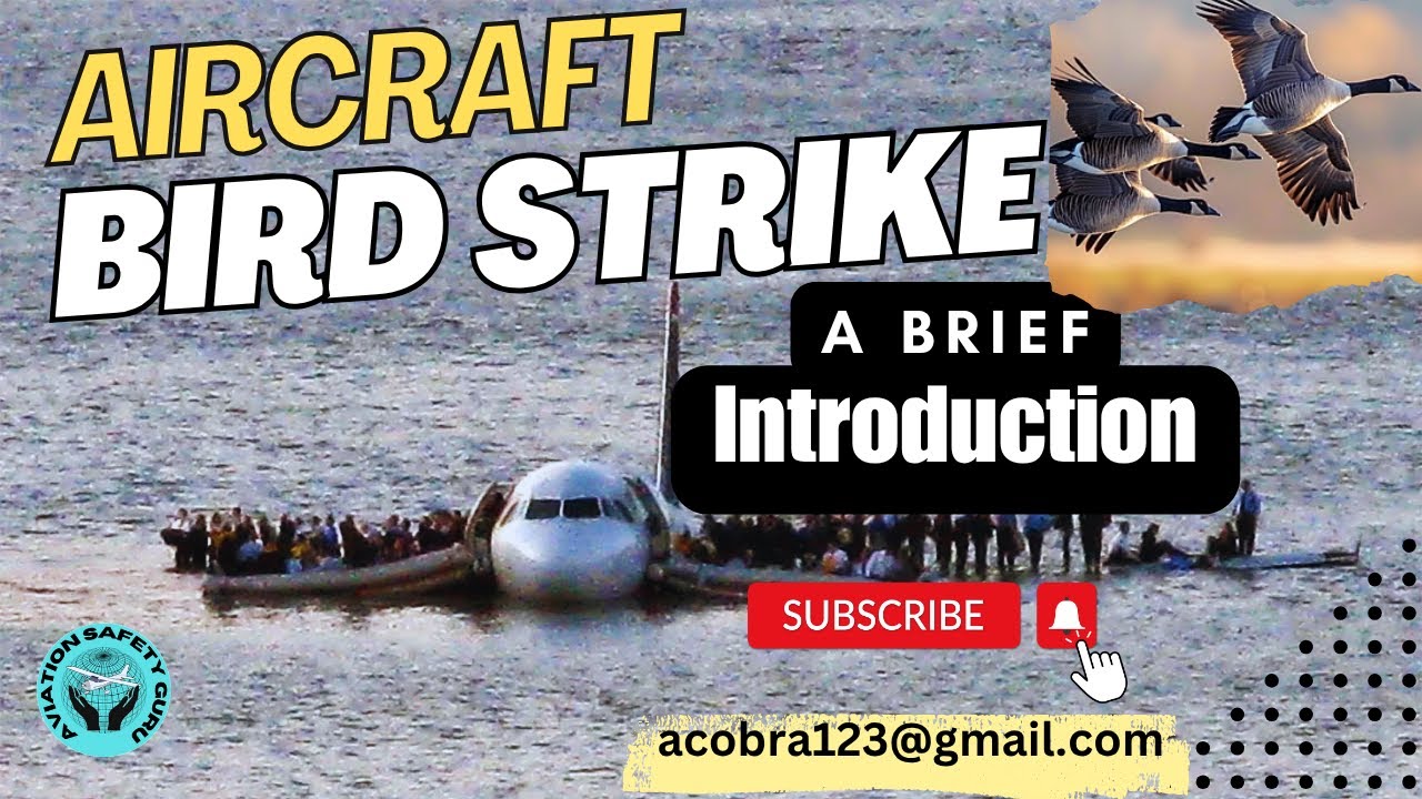 Aircraft Bird Strike | History and Risk Mitigation | #aviationsafety #birdstrike