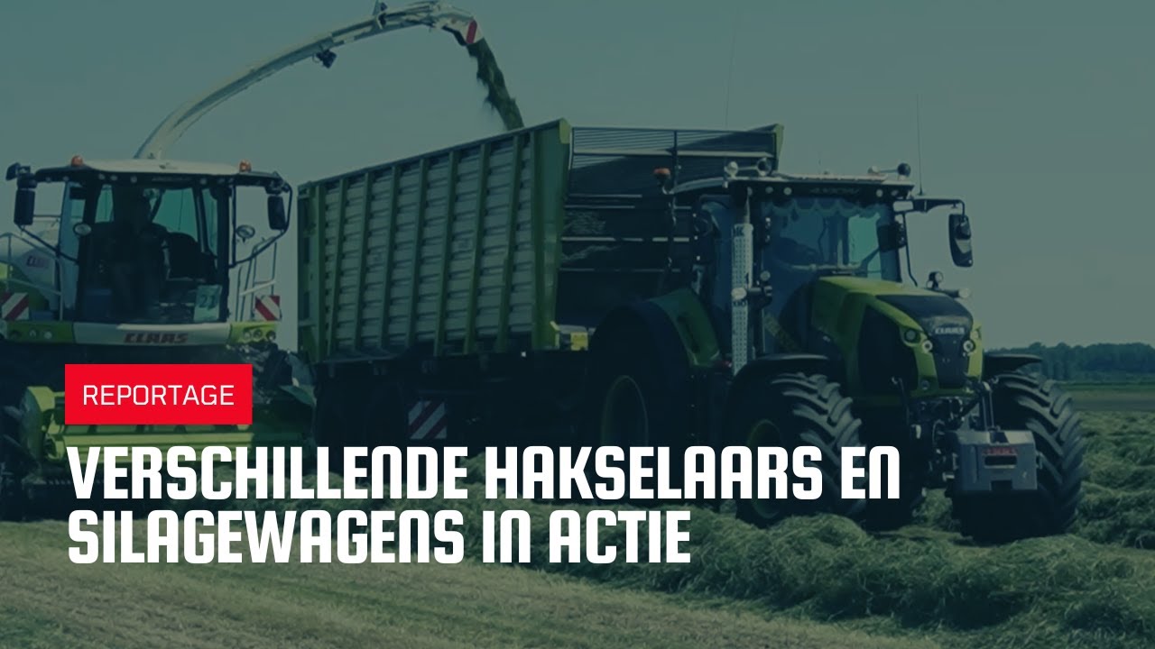 Verschillende hakselaars en silagewagens in actie