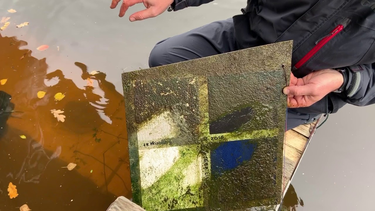 Тест необрастайки Sea-line, пресная вода, МО