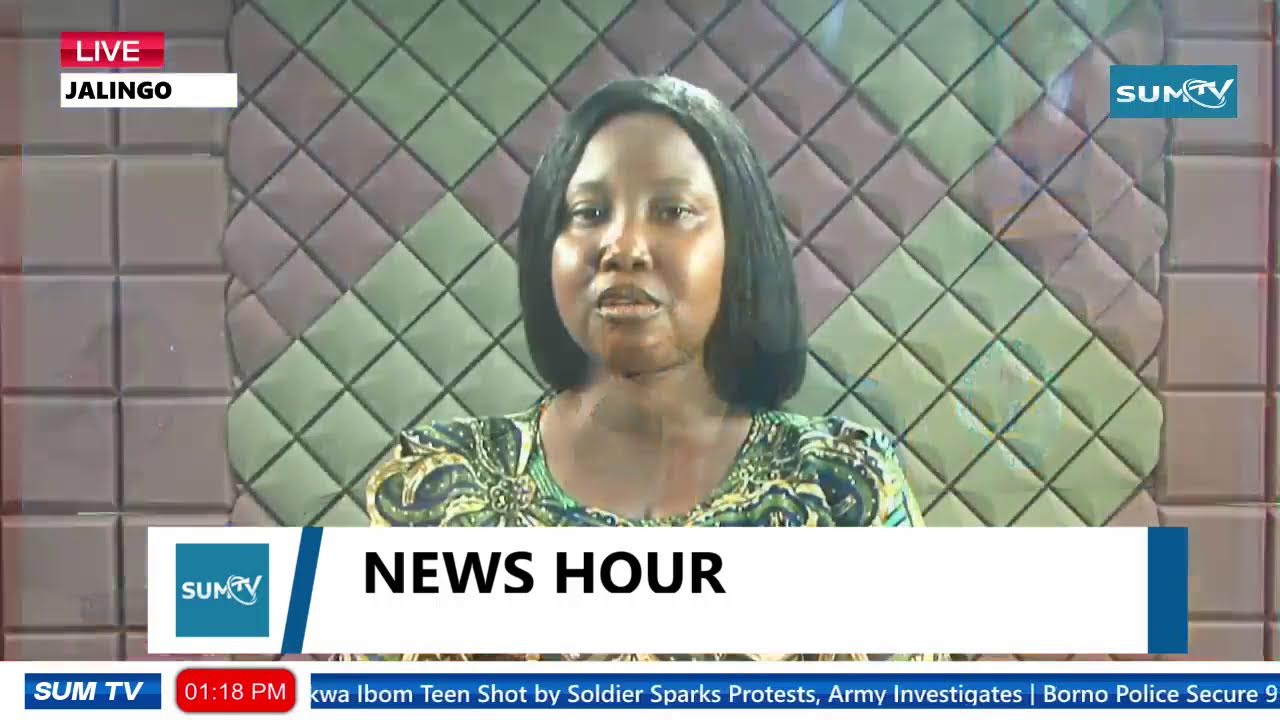 NEWS HOUR