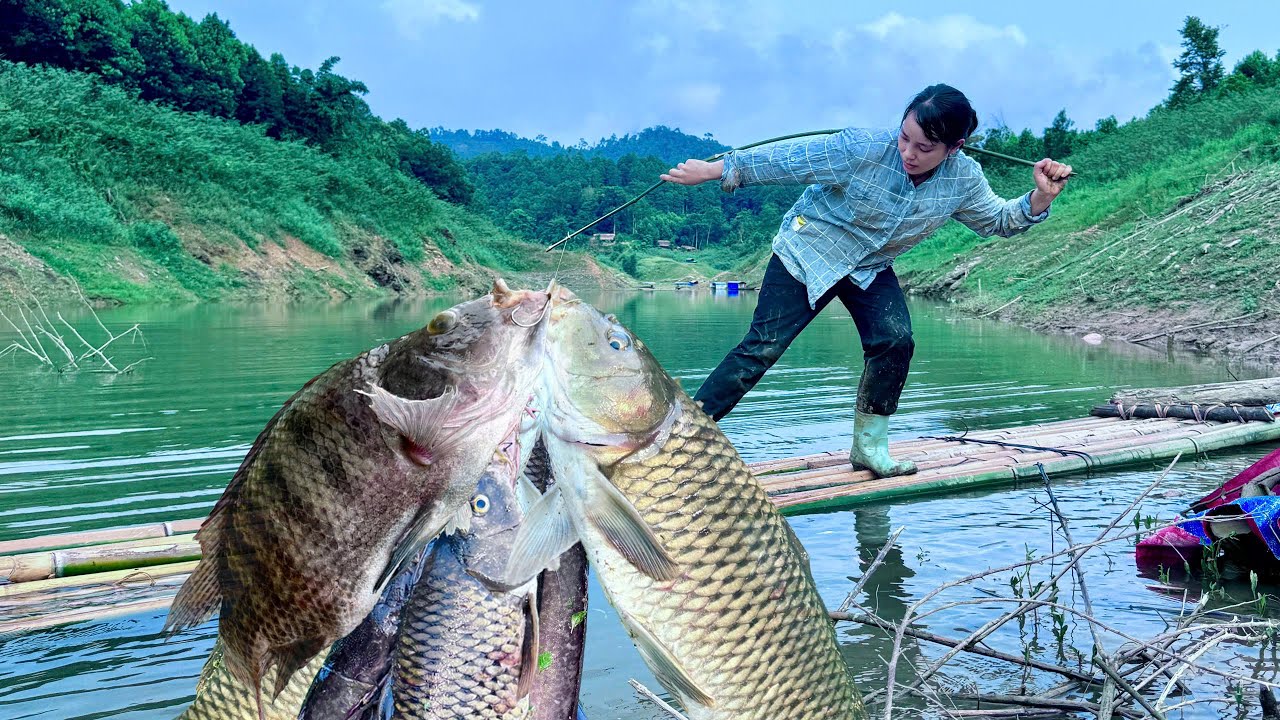 Girl ancient fishing skills helped him catch a large school of carp to sell at the market.