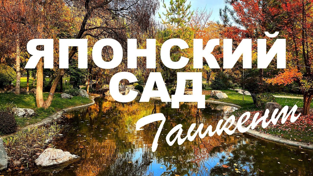 Скрытые Смыслы Японского Сада в Ташкенте | Ваби-саби, Кои и Дзен