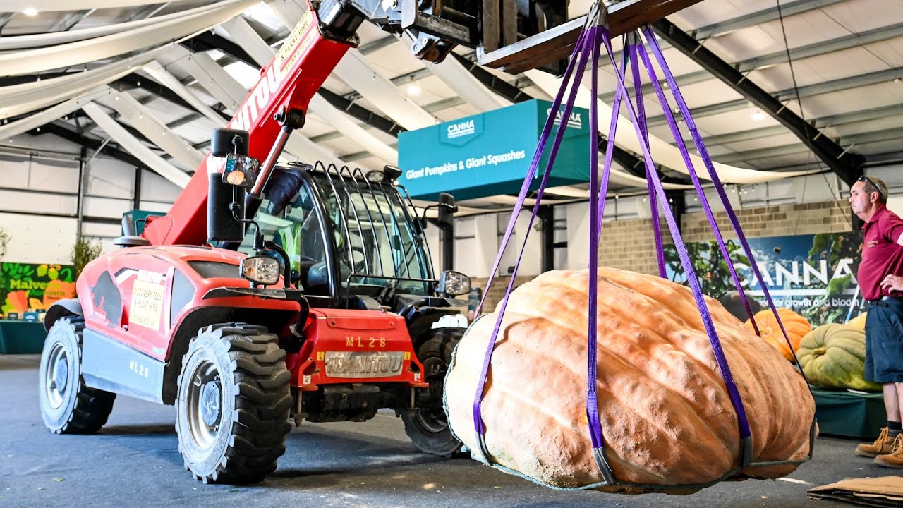 Gardeners unload their giant produce ahead of Malvern Autumn Show | SWNS