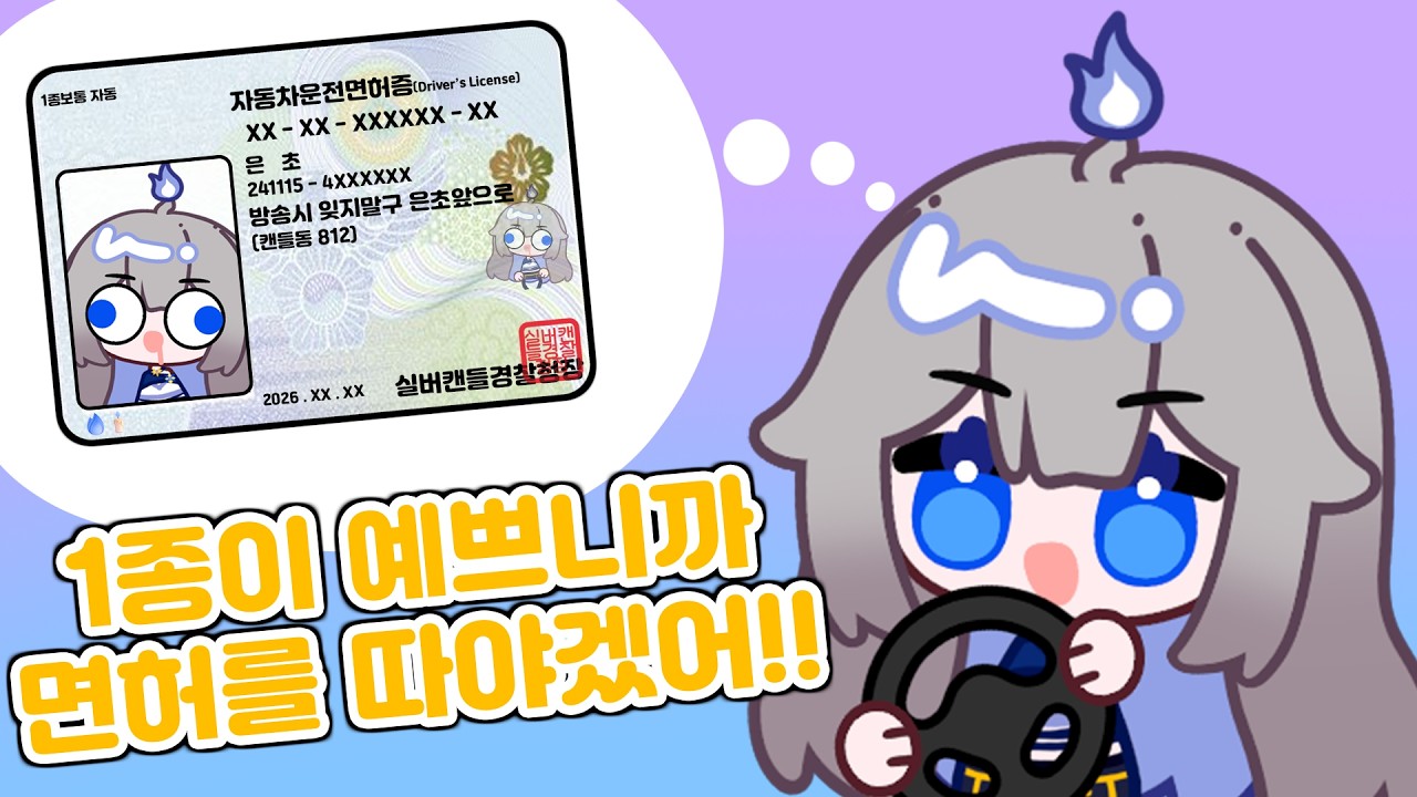 제가 1종 따려는 이유요? 그냥...