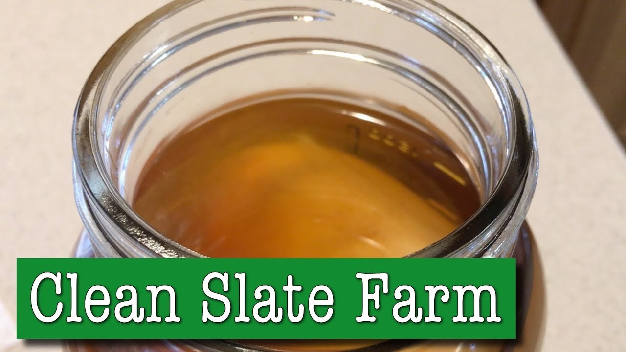Can you kill a kombucha scoby? Did this one live?