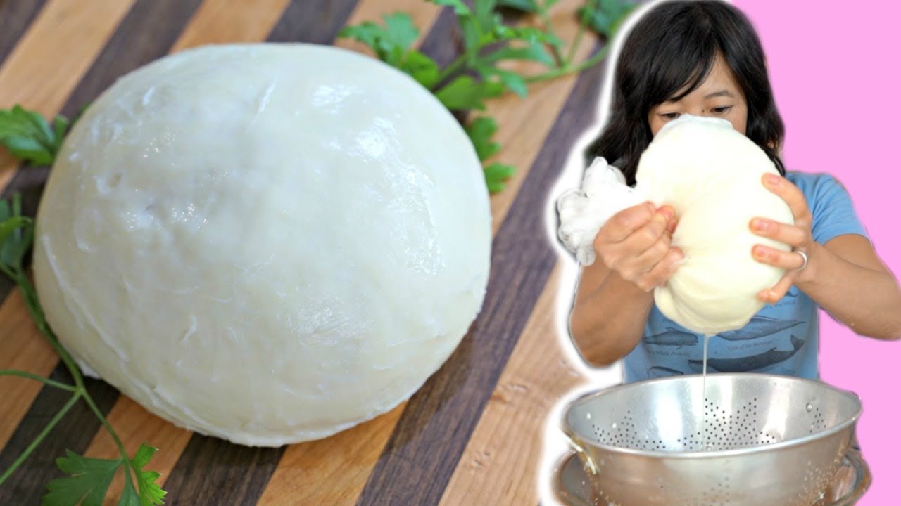 How to Make Mozzarella Cheese From DRY Milk POWDER