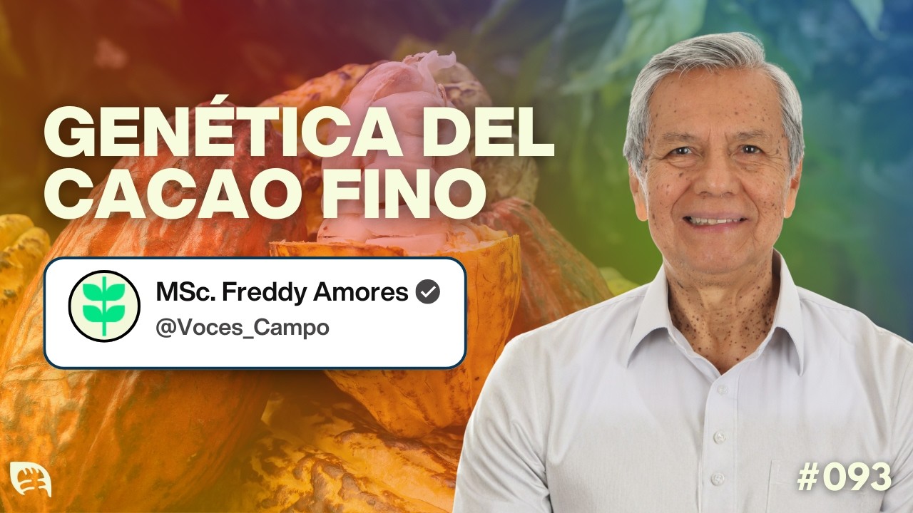 Freddy Amores: 🌿 ¿Nacional o CCN-51? La Solución Definitiva | Ep. 93