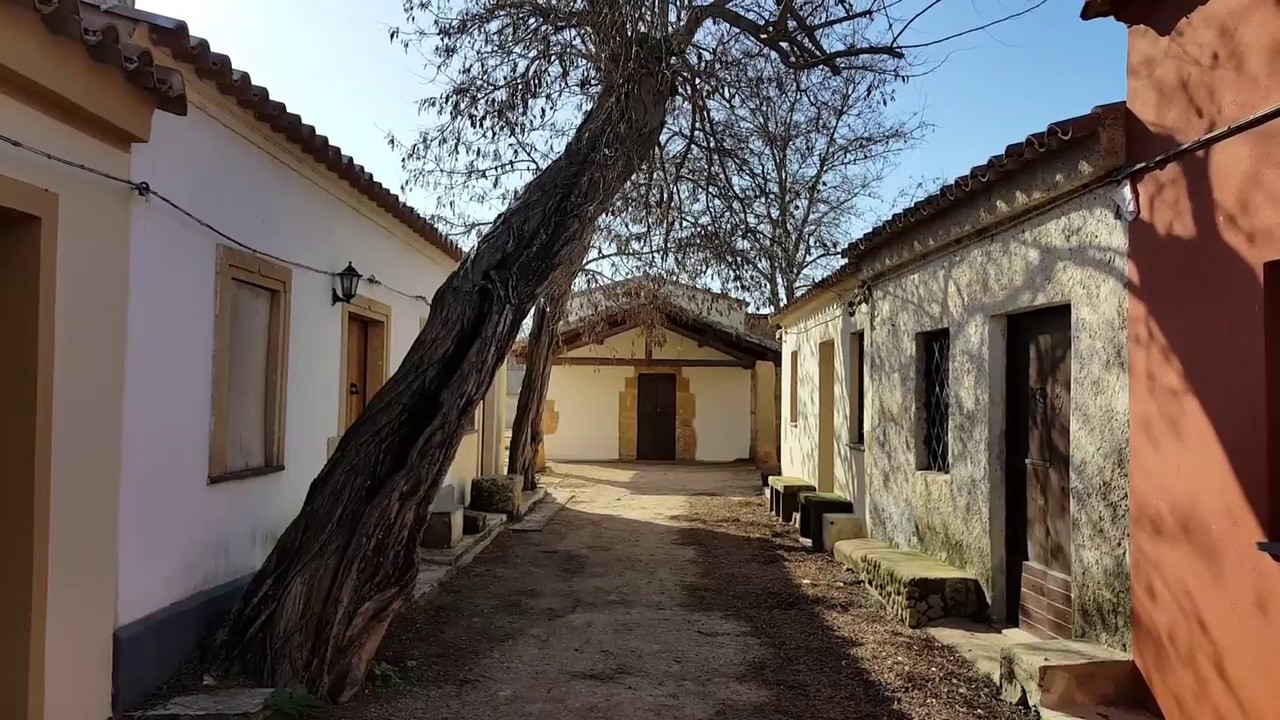 San Salvatore di Sinis, Cabras (OR): the sound of silence