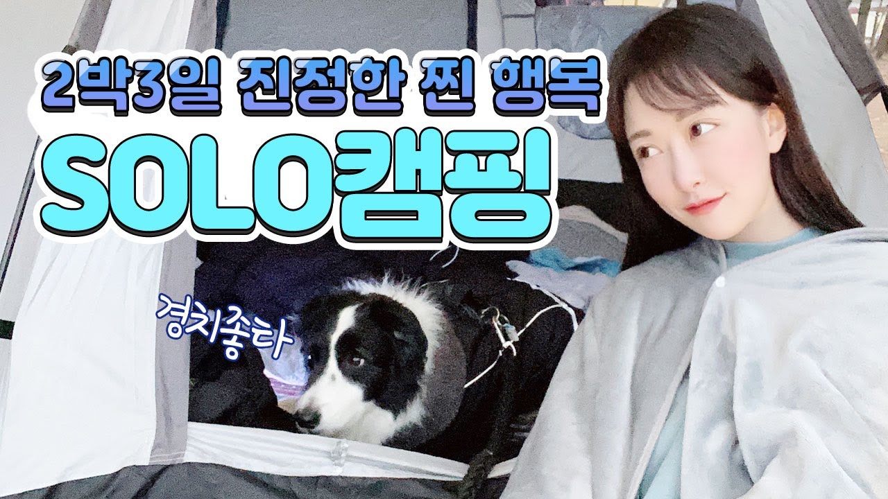 [솔캠]진정한 뷰|술로캠핑|소주6병|보더콜리여행|청산리오토캠핑장|2박3일캠핑|나홀로캠핑
