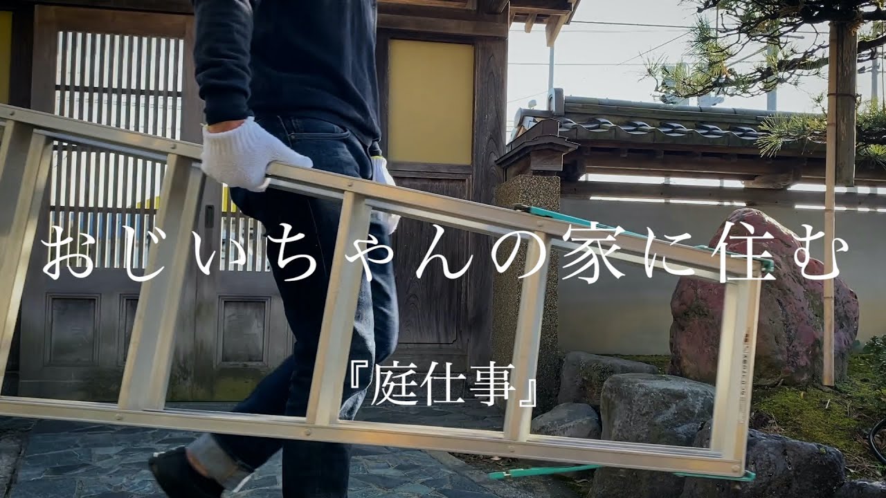 高所恐怖症なのでこの庭仕事は出来ればもうしたくないです / vlog / Japanese garden work BLOG