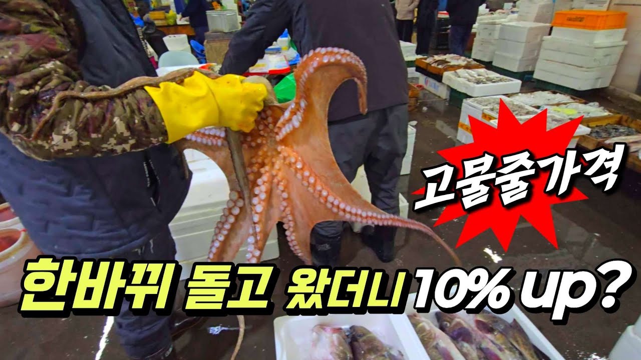 사장님 그러다 망해요~ 좀더 올려서 팔아도 싸요~ ☆문어는 물없이(무수분) 그냥쪄야 제일 맛있어요~ 조리법 공개!