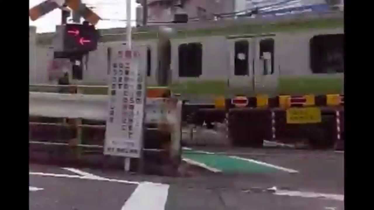 【東京都区内】トウキョウ・トク・ナイツ【都区内パス】