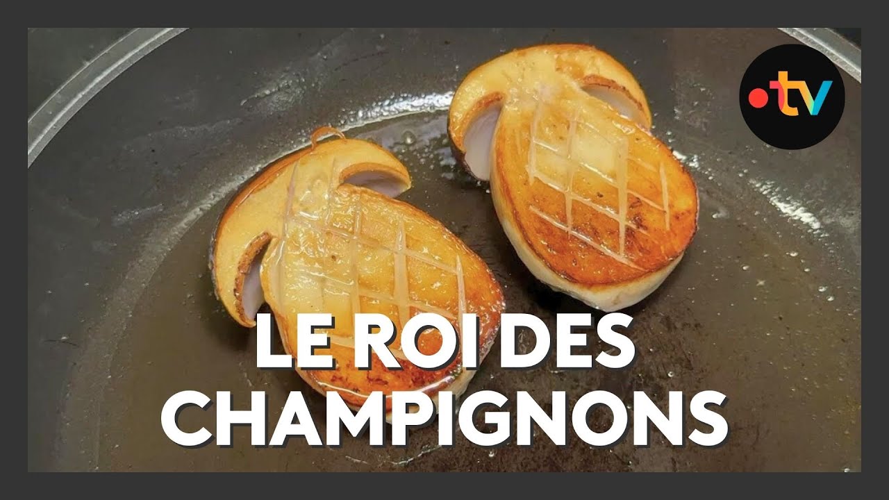Le cèpe, roi des champignons, fait la fierté du terroir périgourdin
