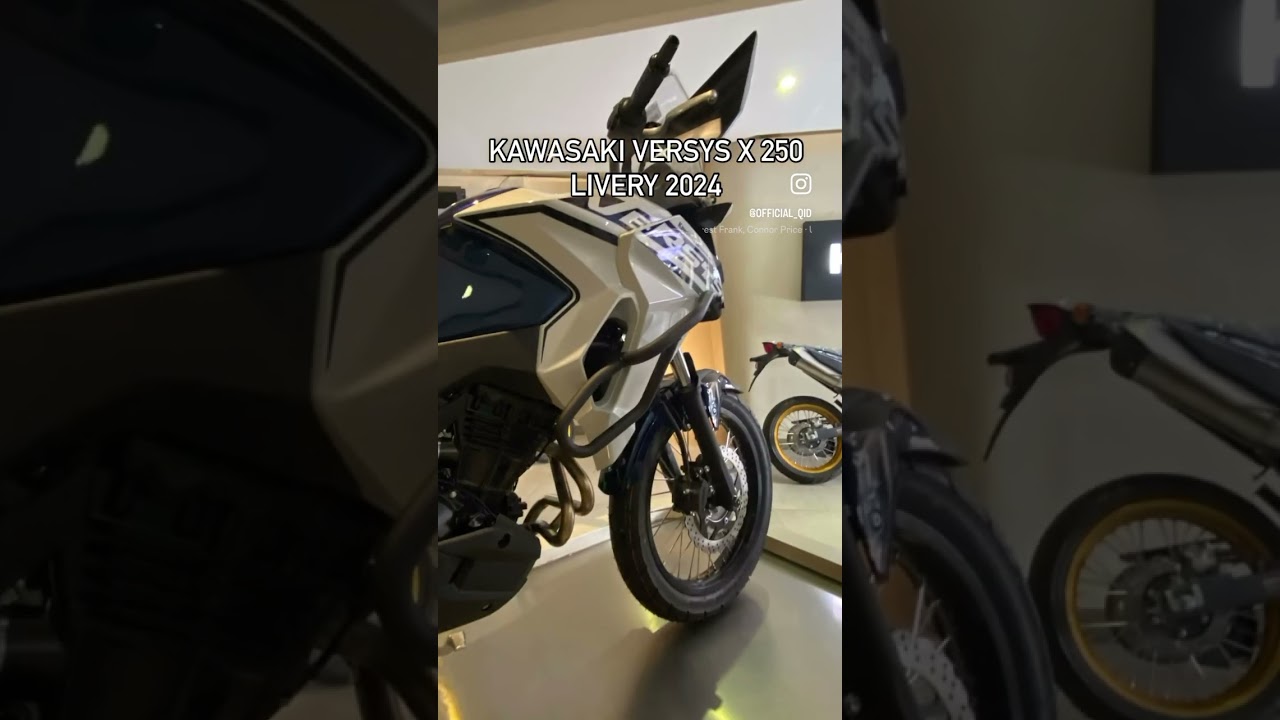 Kawasaki Versys X 250 Livery 2024 #versys #touring #kawasaki