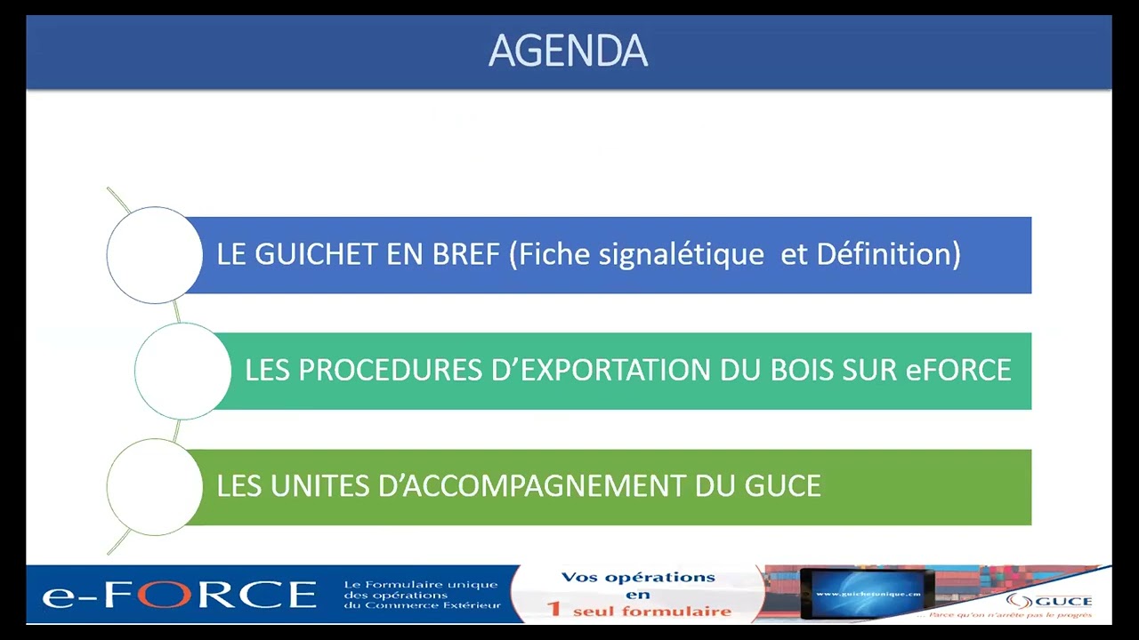 Première partie du webinaire sur les formalités d'importation du bois du 16 mars 2022