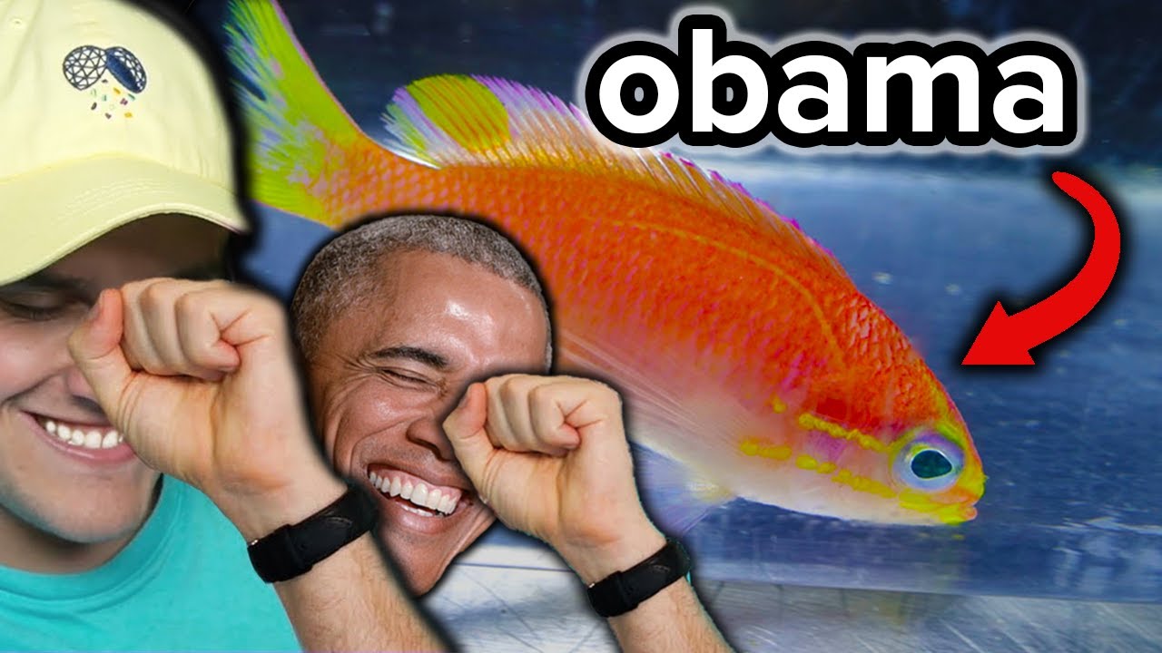bruh, they named this fish 