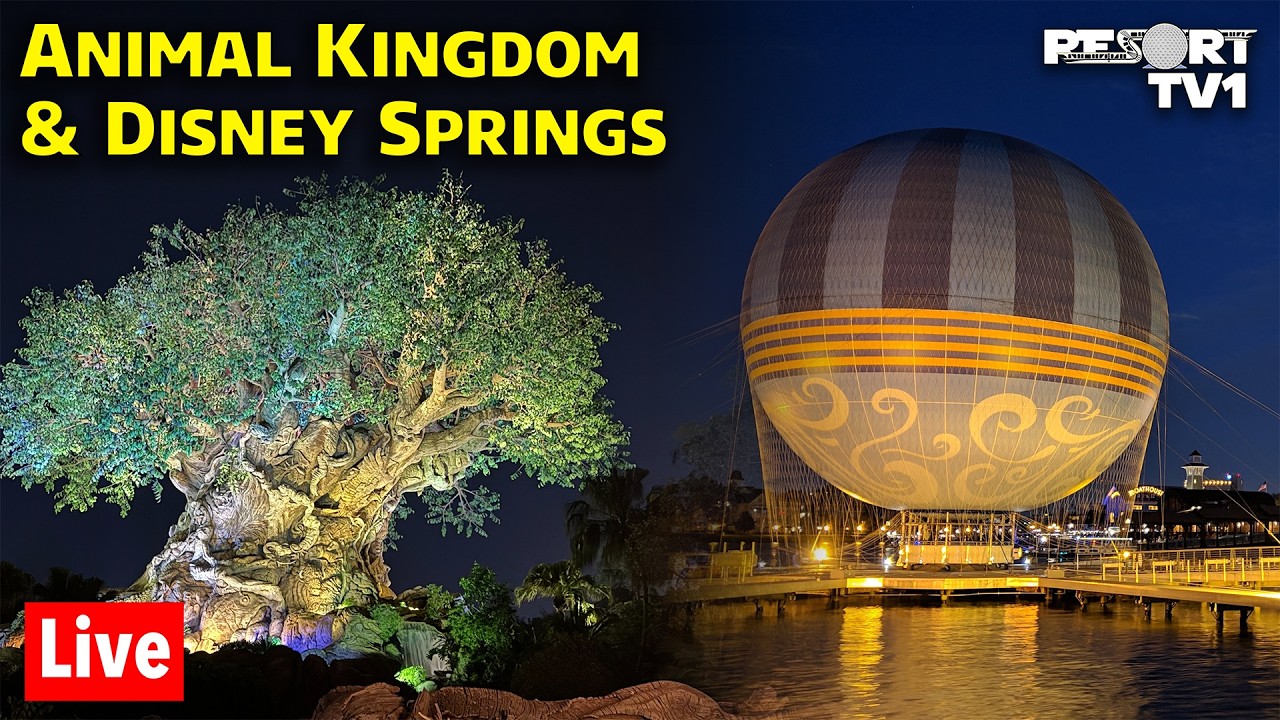 🔴Live: Friday Night Live at Animal Kingdom & Disney Springs - 2-6-26 - Walt Disney World