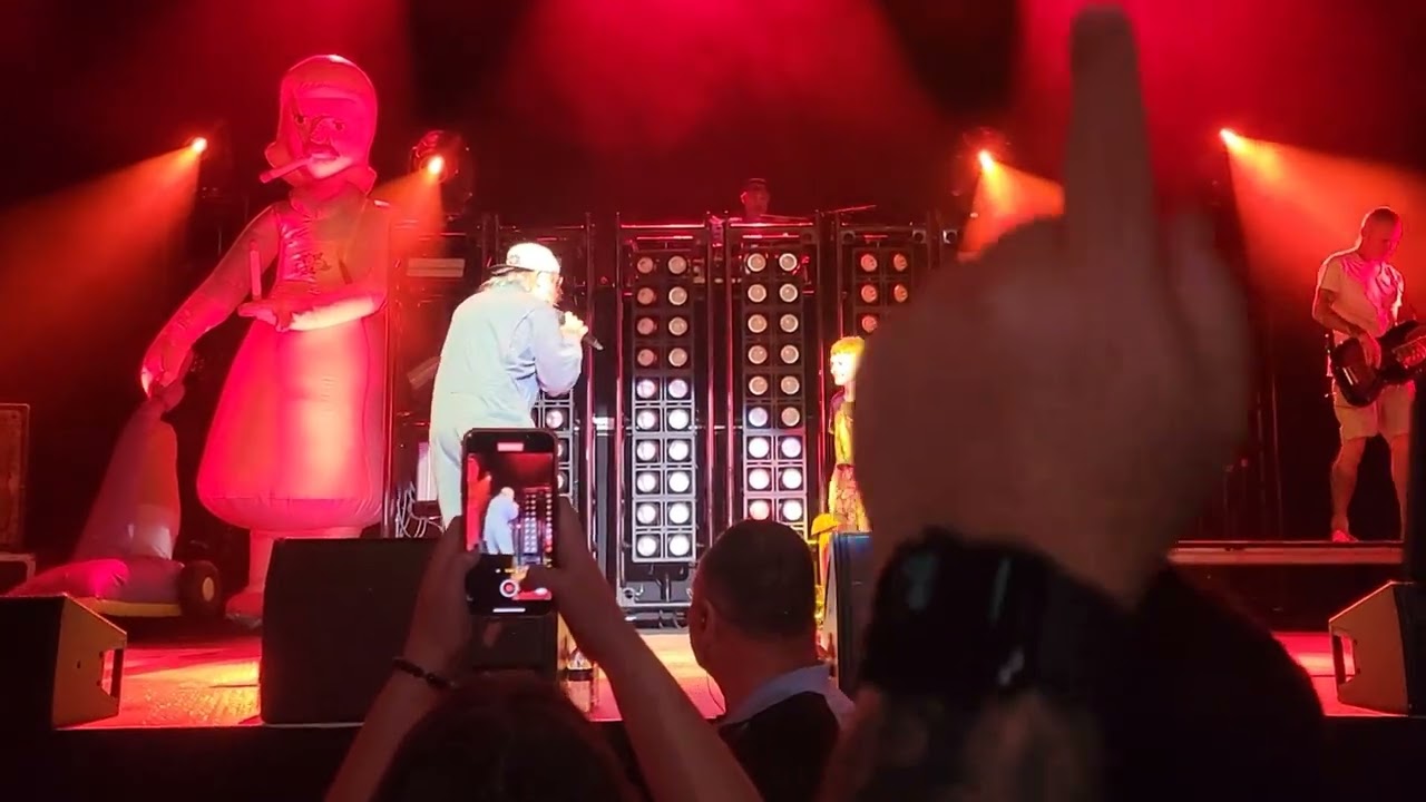 Fred Durst pulls kid up on stage to sing 