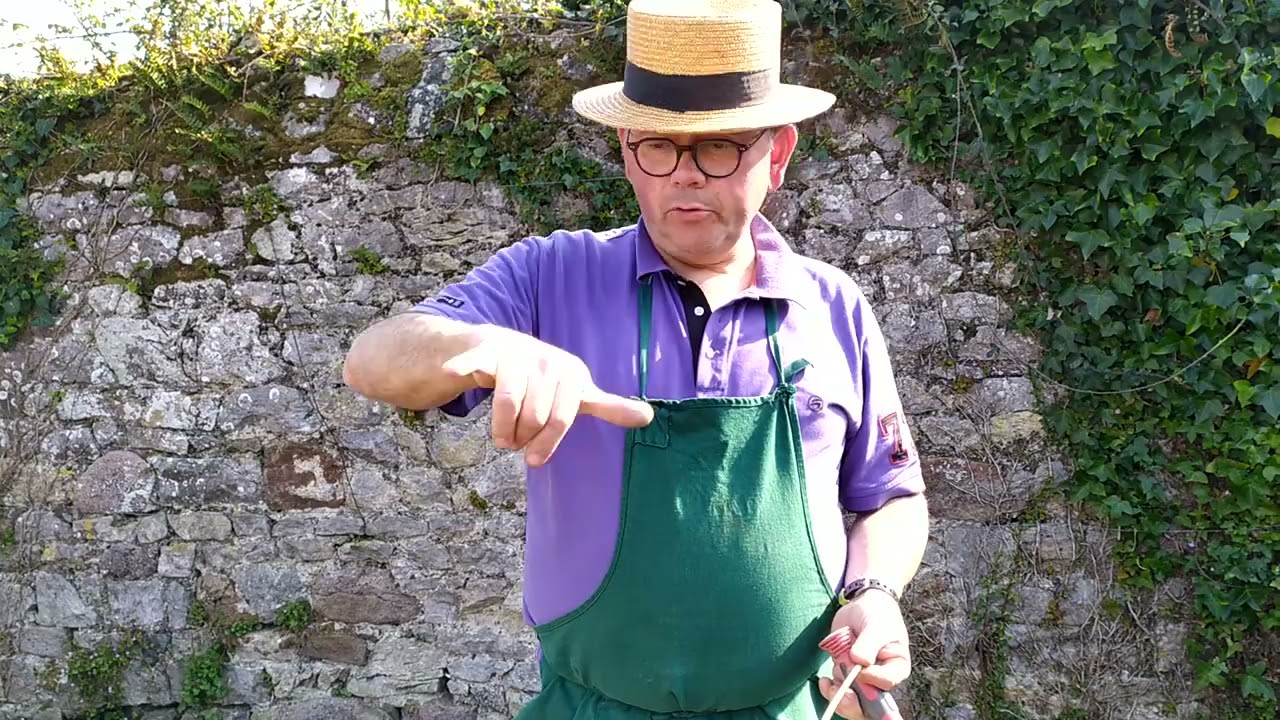 astuce culture pommes de terre sans entretien: plantation facile sans bêchage