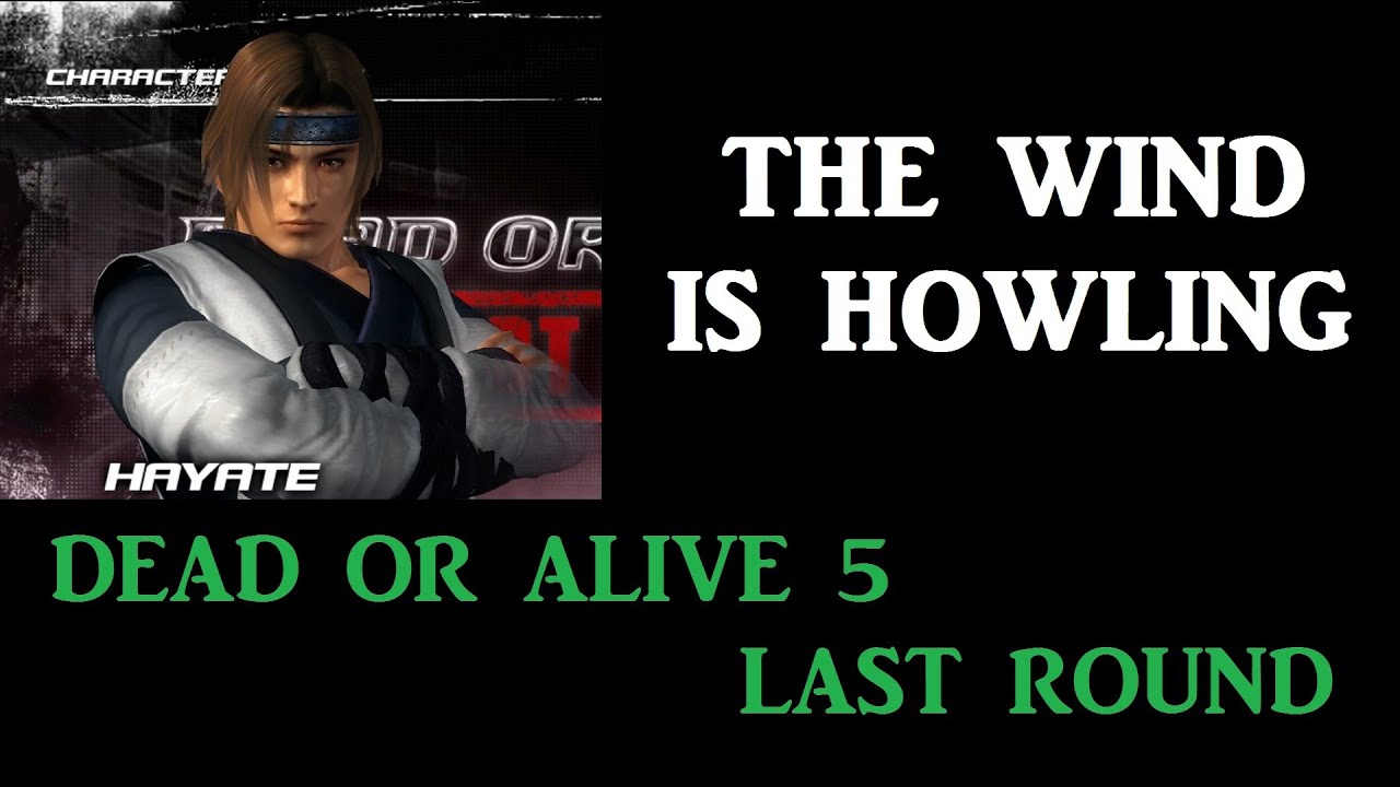 HAYATE - THE WIND IS HOWLING - DOA5LR