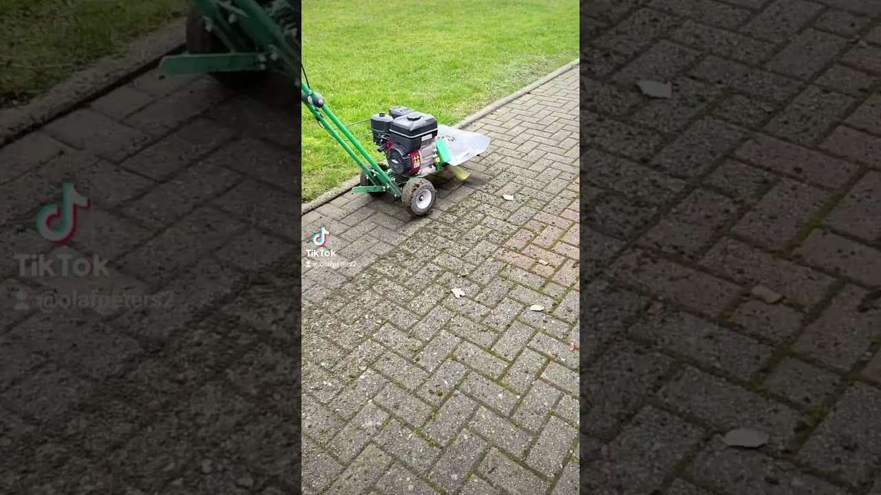 Kwern Wildkrautbürste.
