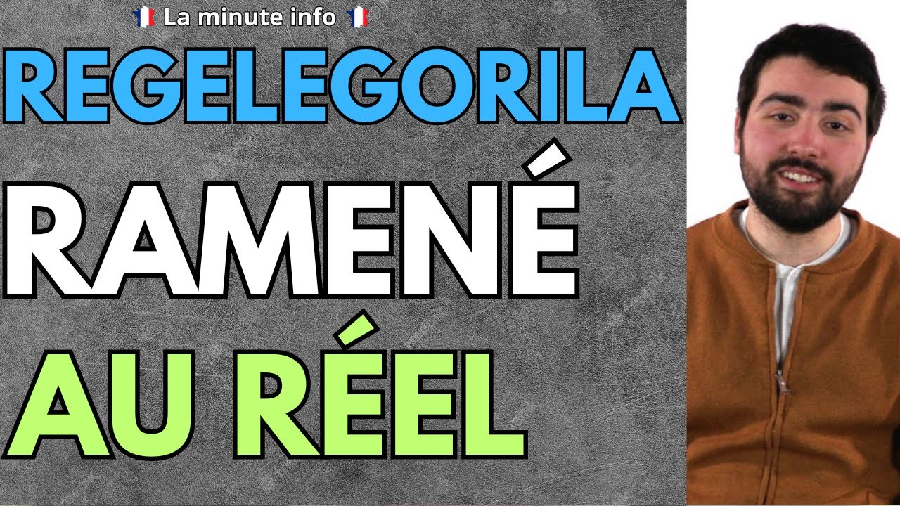 REGELEGORILA RAMENÉ AU RÉEL APRÈS AVOIR DÉCLARÉ PRENDRE L'AVION DES DIZAINES DE FOIS PAR AN