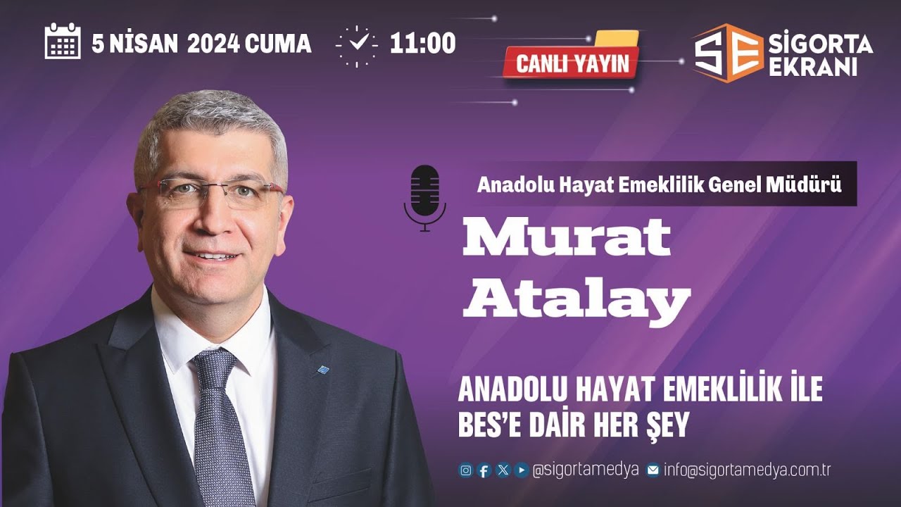 Anadolu Hayat Emeklilik ile BES'e Dair Her Şey