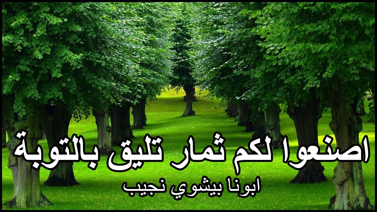 اصنعوا لكم ثمار تليق بالتوبة...ابونا بيشوي نجيب