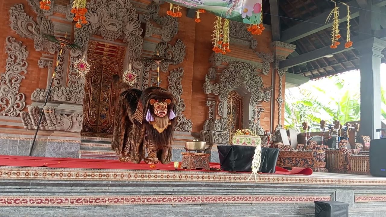Bapang barong macan bulan bahasa 2026