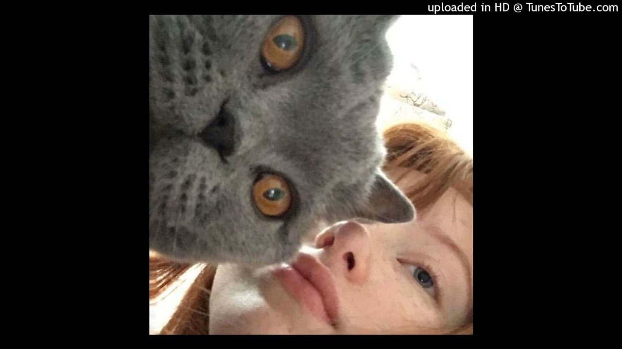 alizade - kedi gibiyim (speed up)