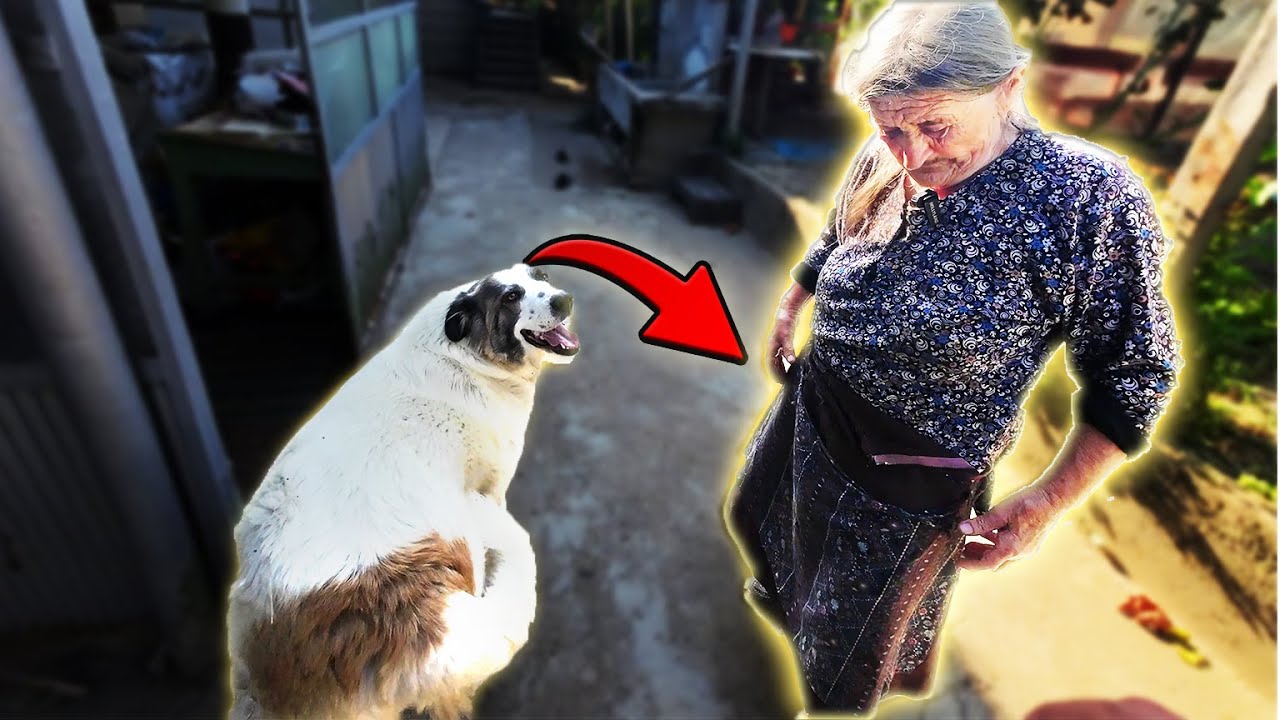 ХВАНАХ БАБА СТОЯНКА НЕПОДГОТВЕНА 😲