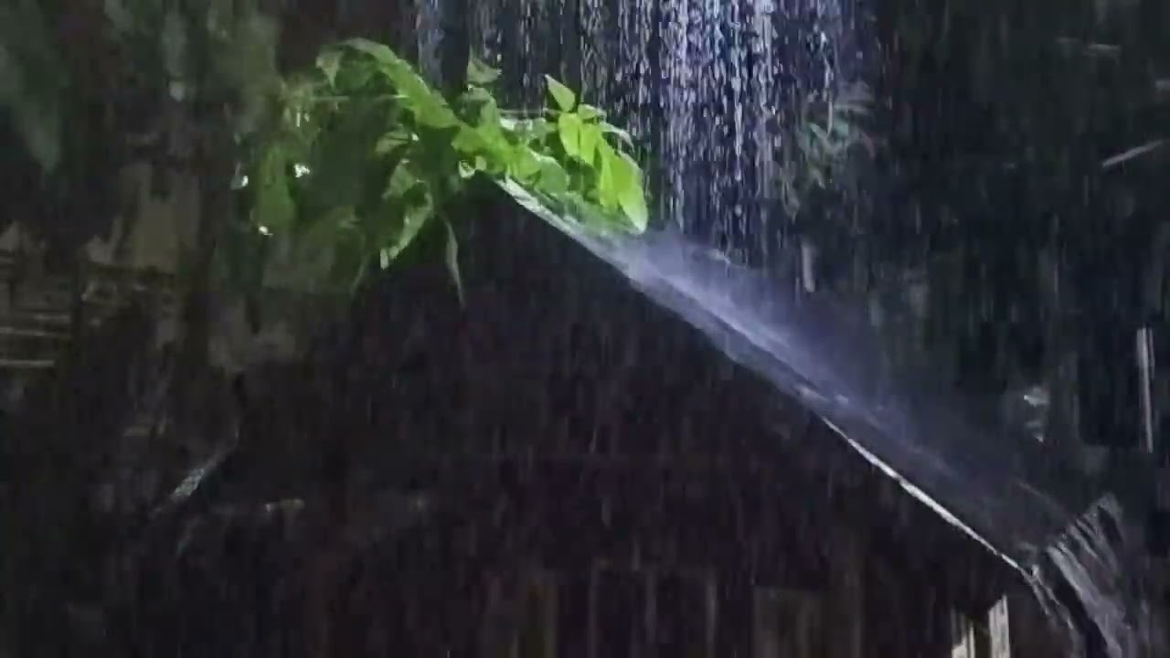 A Great Rainy Night to Fall Asleep, Sleep Soundly | Heavy Rain on a Tin Roof & Thunder