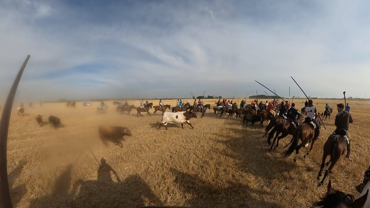 ENCIERRO COMPLETO CABEZUELA SABADO