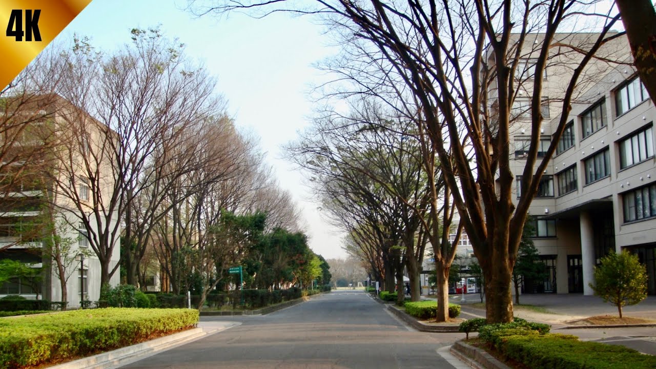 Relaxing Walk Through Beautiful Japan Streets 🇯🇵