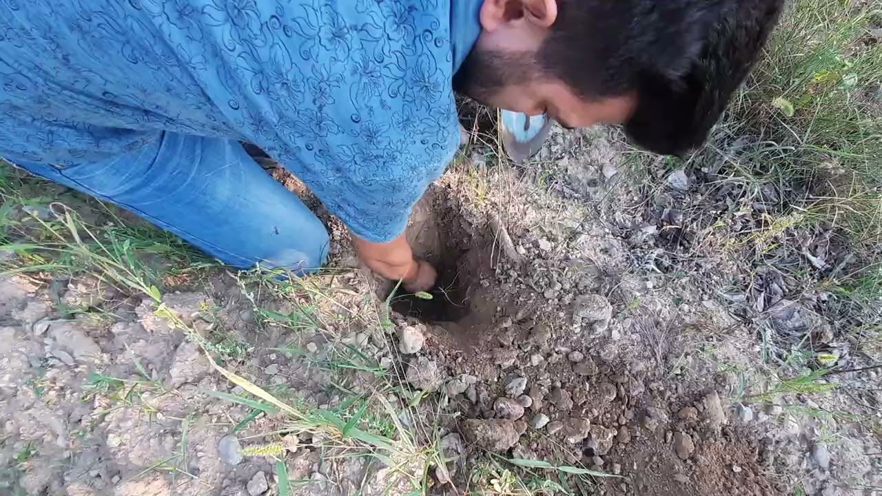 Meyve Bah&ccedil;elerinde Dijital Toprak Analizi i&ccedil;in Numune Alma &Ouml;rneği