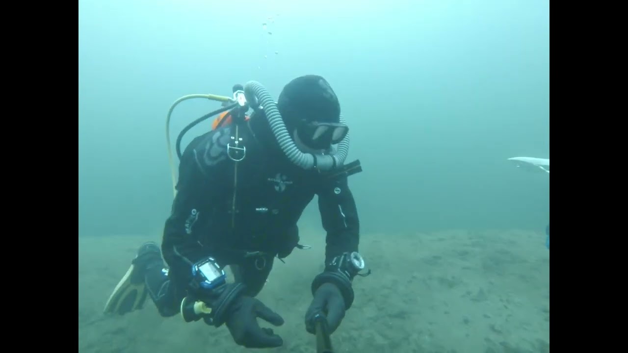 double hose regulator diving