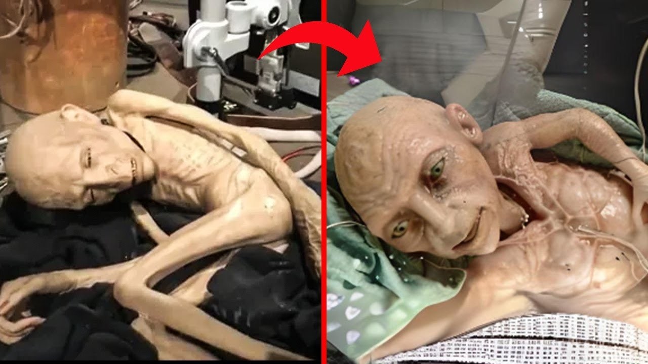 O que eles descobriram congelado no gelo chocou o mundo inteiro