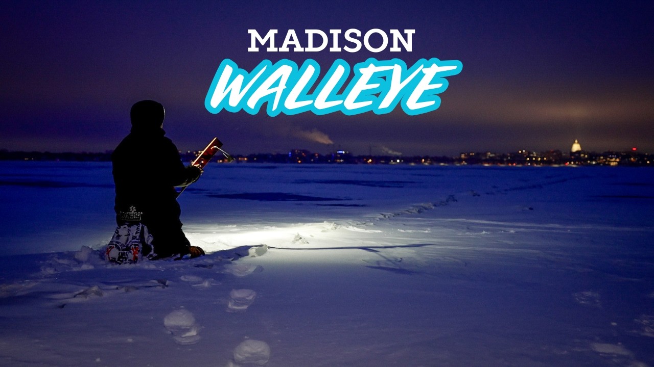 We Found a HUGE School of Walleye!