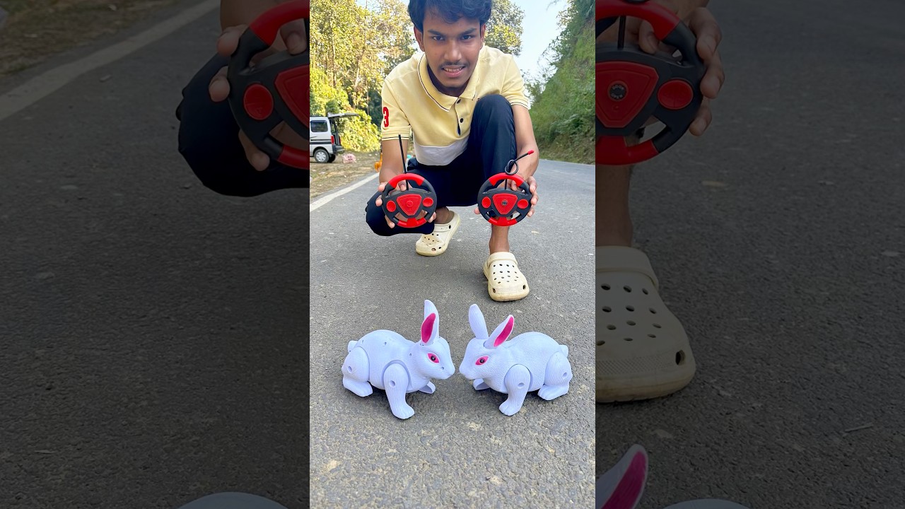 2 cute remote control rabbit tasting 😱🐇