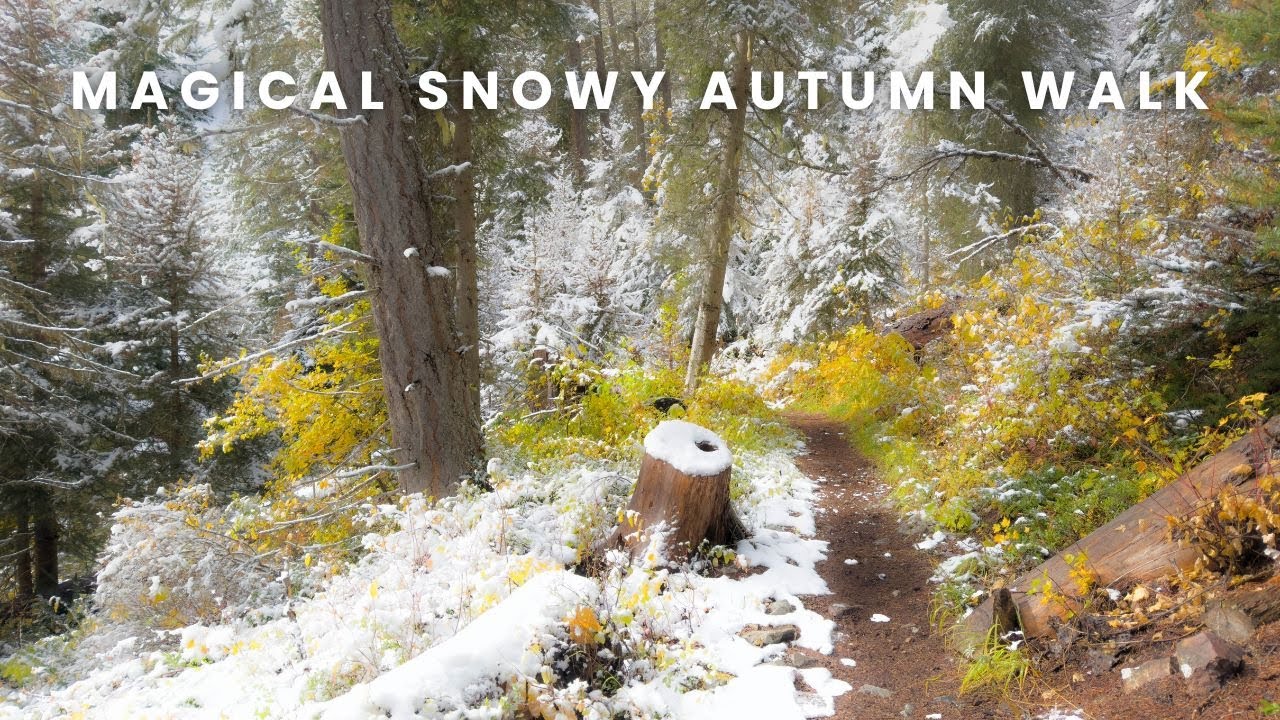 Magical 4K Snowy Lakeside Autumn Walk with Nature Sounds