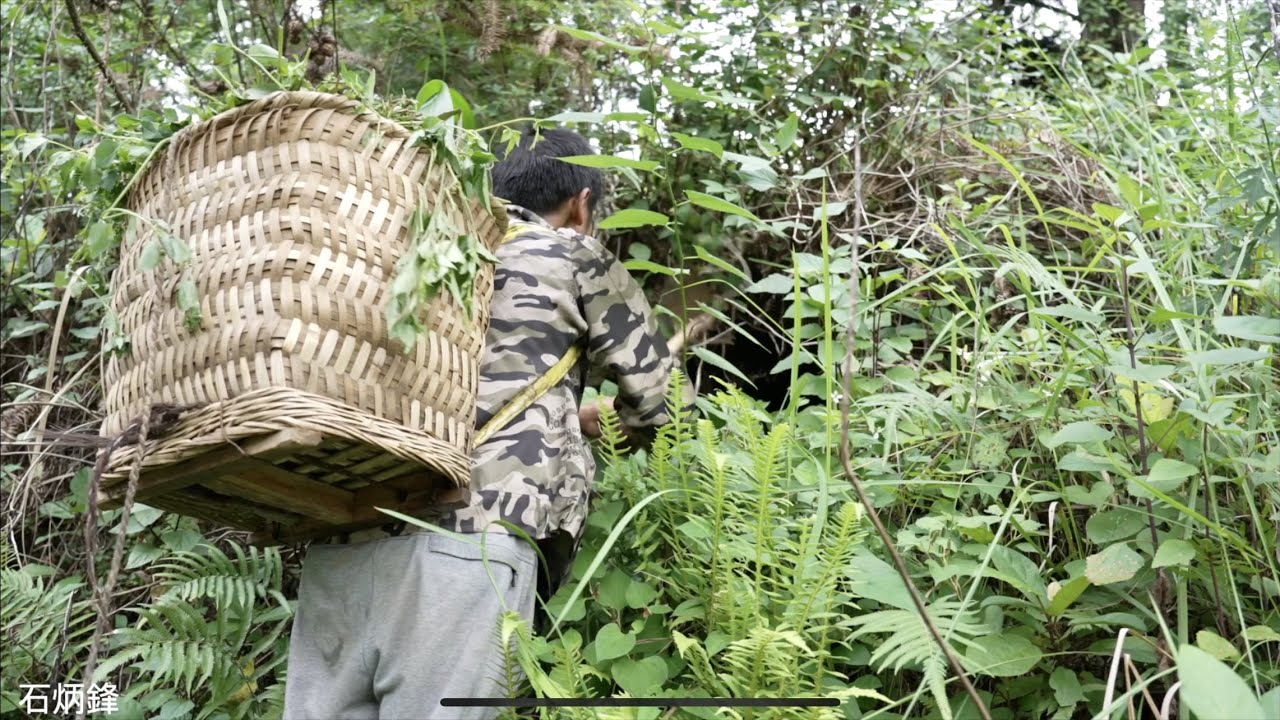 貴州驚現活死人墓：老人老了不會幹活了，關進活人墳直到餓死
