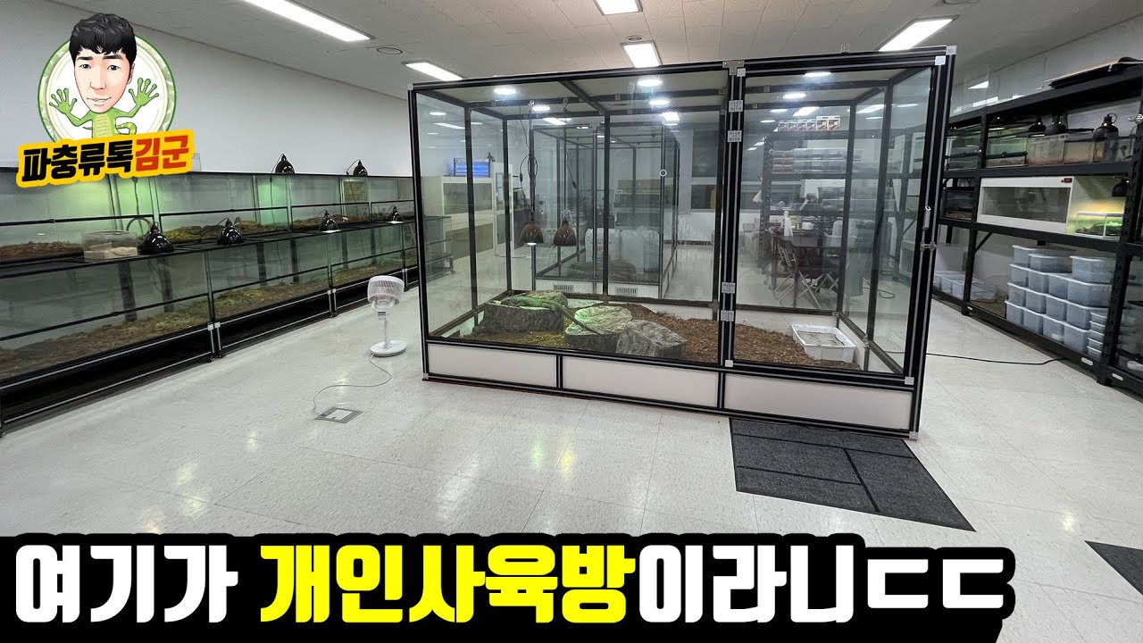 역대급 사육방입니다. 희귀 비주류 파충류만 2억 키우신다네요 ㄷㄷ