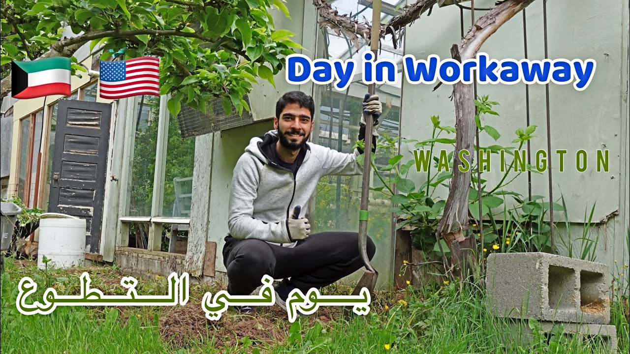 يومٌ في التطوع | Day in WorkAway Washington