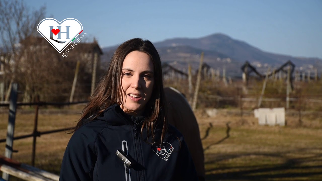 Troppi piumoni in inverno? Scopri come tenere caldo il tuo cavallo.